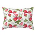 Qekee Strawberry1 Print Pillow Cases,Soft Pillowcases with Envelope
