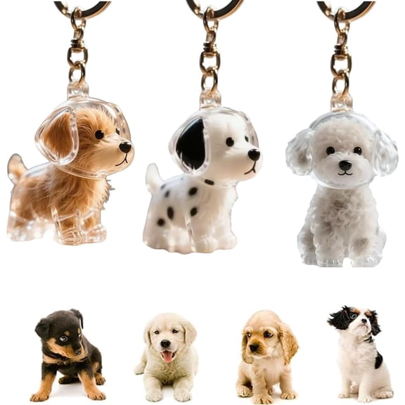 QenASHaing 3pcs Dog Fur Storage Bottle Dog Hair Collector Keychain Charm Memorial Storage Box, Pet Hair Memorial Keepsake, Capsule Toys Pet Hair Container