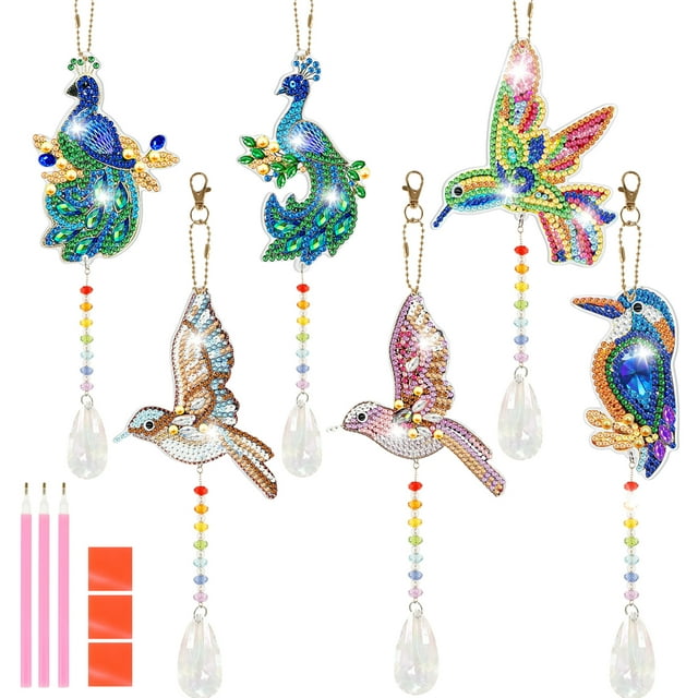 Qenwkxz 6PCS DIY Diamond Painting Suncatcher, Double Sided Ornaments ...