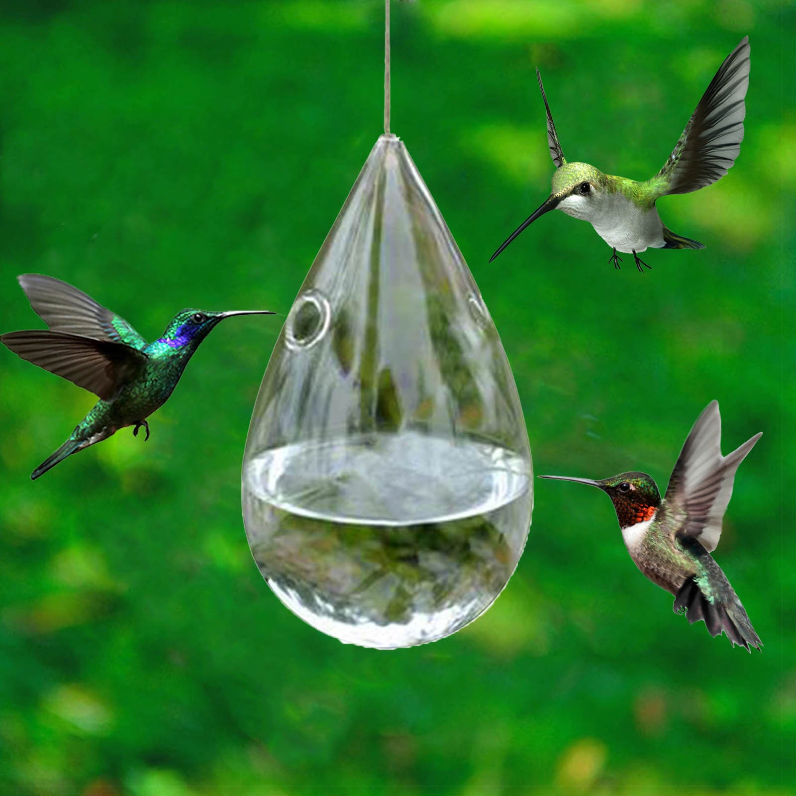 Qepwscx Hummingbird Glass Feeder for Outdoors Hanging Glass Humming