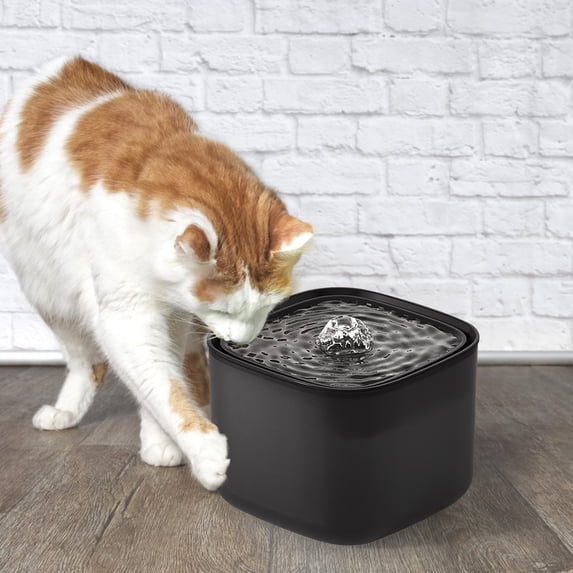 Qepwscx Pet Fountain, Automatic Circulating Filtration Water Dispenser Cat Water Fountain Dog Water Dispenser with Smart Pump for Cats, Dogs Gray