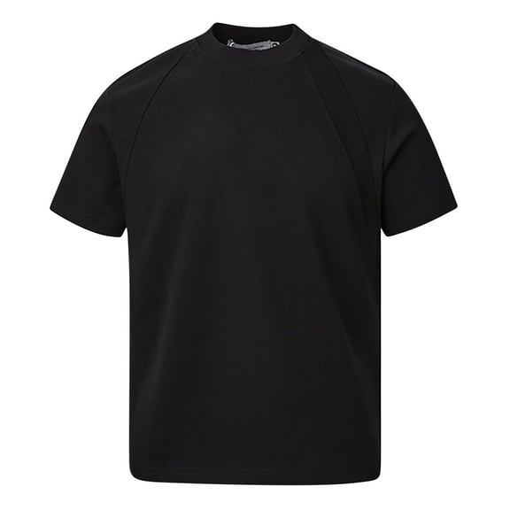 Qgtaibl Men's Crew Neck T-Shirts Cotton Short Sleeve Basic Tees Comfortable Casual Daily Shirts Solid Color Summer T Shirt Black,L