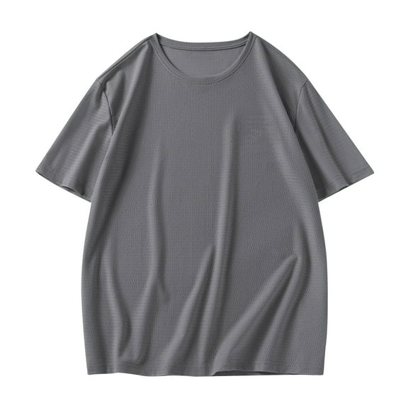 Qgtaibl Men's Lightweight Short Sleeve T-Shirts Casual Loose Fit Shirts Solid Color Crewneck Basic Tshirt Tops for Summer Gray,L
