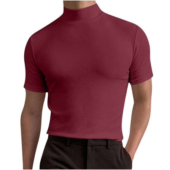 Qgtaibl Men's Mock Neck T-Shirts Solid Short Sleeve Shirt Slim Fit Workout Bodybuilding Tee Summer Basic Tops Wine,S
