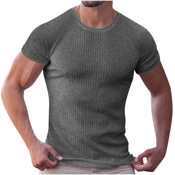 Qgtaibl Mens Gym Muscle T Shirts Summer Slim Fit Bodybuilding Workout Tees Solid Color Crewneck Short Sleeve Tops Dark Gray,L