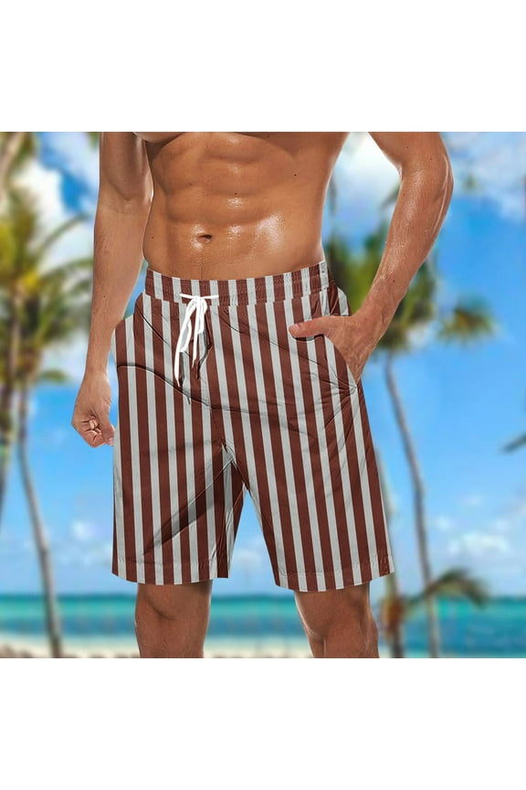 Mens Striped Beach Shorts M Summer Elastic Waist Drawstring Shorts Casual Vacation Short Pants with Pocket Brown