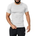 thumbnail image 1 of Qgtaibl Mens Workout Muscle Tee Shirts Quick Dry Gym Tshirts Slim Fit Stretch Running Athletic Tops Moisture Wicking Fitness T-Shirt Silver,L, 1 of 6