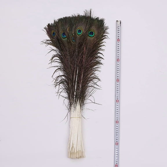 Qhkie 25-130cm Peacock Feathers – Premium Natural Decor & Crafting Material for Weddings, Parties, and Home Decor – Ideal for Event Planners, DIY Enthusiasts & Designers