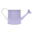 thumbnail image 1 of Qholemyo 1.5L Vintage Iron Metal Watering Can With Floral Decoration For Indoor Outdoor Garden Plants And Flower Pots, 1 of 6