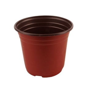 Qholemyo 100PC Seeds Starting Pots Flower Plants Containers For Succulents Indoor Planters Plastic Pots For Plants