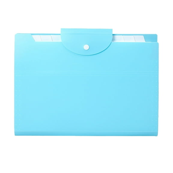 Qholemyo 12 Grids Organ Pack Folder - A4 Student Exam Paper Classification Storage, Office Data Archive File Pack (Office Supplies)