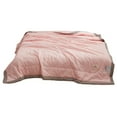thumbnail image 1 of Qholemyo 43.3x59.05in Lightweight Quilt Summer Quilt Washable Bed Quilt Soft Blanket For AC Rooms, 1 of 8