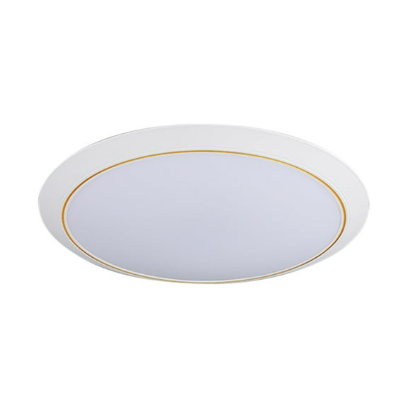 Qholemyo Human Body Sensing Ceiling Lights Courtyard Corridors Balcony Lights Circular Home Ceiling Lighting Fixtures LED Ceiling Light Ceiling Light Fixtures