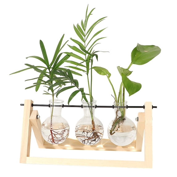 Qholemyo Retro Glass Bulb Vase With Wooden Stand For Home Office Decor Hydroponic Plants Terrarium Centerpiece