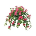 thumbnail image 1 of Qholemyo Simulated Morning Glories Artificial Flowers Mother's Day Gifts Summer Indoor Outdoor Decoration For Mom, 1 of 7