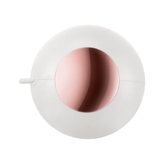 Qholemyo Washable Reusable Gel Lint Remover Portable Spherical Hair Remover For Clothes Laundry Travel Home Viscous Pet Hair Remover