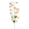 thumbnail image 1 of QianGlow Artificial Bell Flower, Silk Stem Fake Flowers for Wedding Bouquets, Centerpieces, Baby Shower, Mother's Day Gift,Champagne, 1 of 4
