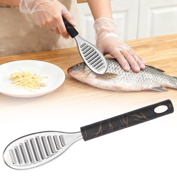 Efficient Store Qiangzon Black Stainless Steel Scraper Fish Scale Remover, Rustproof ...