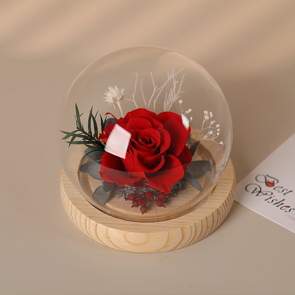 Qiangzon Eternal Flower with Glass Cover for Mothers Day, High Simulation Roses Flowers, Carnation Not Withering, Artificial Flower Decoration for Mom Accompanying Gift, Red