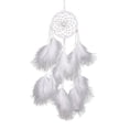 thumbnail image 1 of Qianha Mall Dream Catcher Feather Decor Pendant Hanging Gift Exquisite Home Decor Ornament for Bedroom, 1 of 8