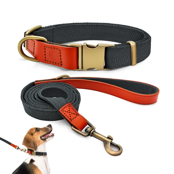 Qianruida Nylon Dog Collar and Leash Set Durable - Adjustable with a Secure Fastening, Comfortable and Long - lasting, Ideal for Walking, Training, and Outdoor Safety, Blue - black, M