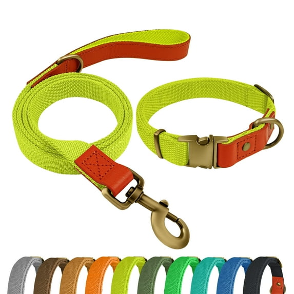 Qianruida Nylon Dog Collar and Leash Set Durable - Adjustable with a Secure Fastening, Comfortable and Long - lasting, Ideal for Walking, Training, and Outdoor, Fluorescent Yellow, XL