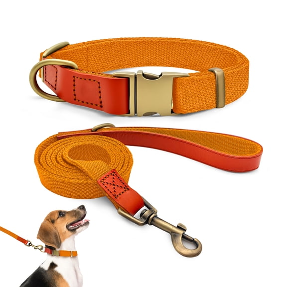 Qianruida Nylon Dog Collar and Leash Set Durable - Adjustable with a Solid Fastening, Comfortable and Durable, Ideal for Walking, Training and Outdoor Safety, Orange, M
