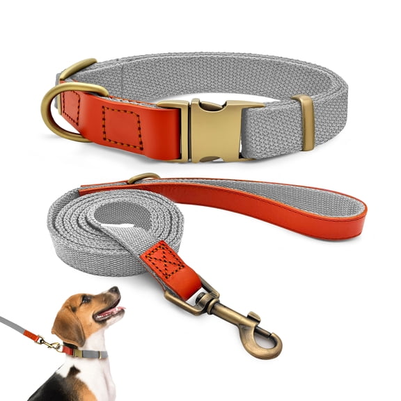 Qianruida Nylon Dog Collar and Leash Set Durable - Adjustable with a Secure Fastening, Comfortable and Long - lasting, Ideal for Walking, Training, and Outdoor Safety, Silver - gray, M