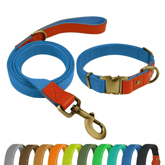 Qianruida Nylon Dog Collar and Leash Set Durable - Adjustable with a Solid Fastening, Comfortable and Durable, Ideal for Walking, Training and Outdoor Safety, Blue, XL