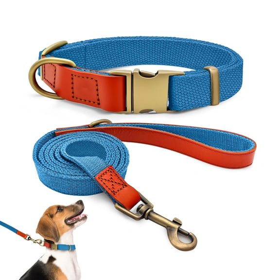 Qianruida Nylon Dog Collar and Leash Set Durable - Adjustable with a Solid Fastening, Comfortable and Durable, Ideal for Walking, Training and Outdoor Safety, Blue, M