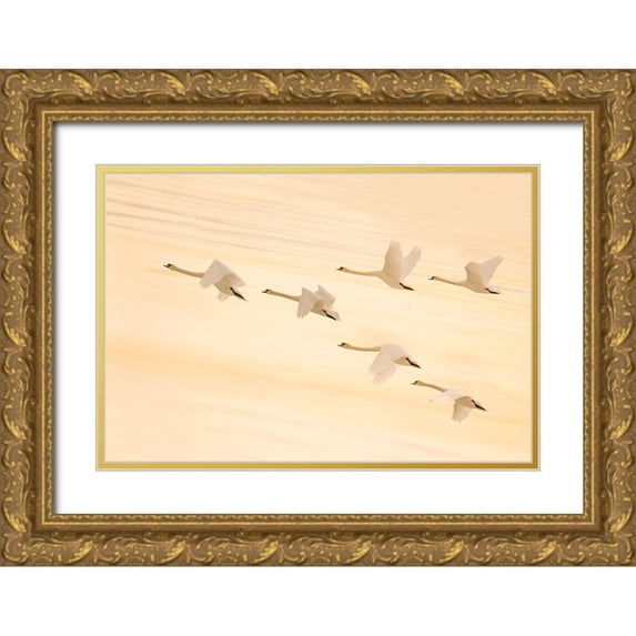 Qin, Feng 32x23 Gold Ornate Wood Framed with Double Matting Museum Art Print Titled - Group Dancing