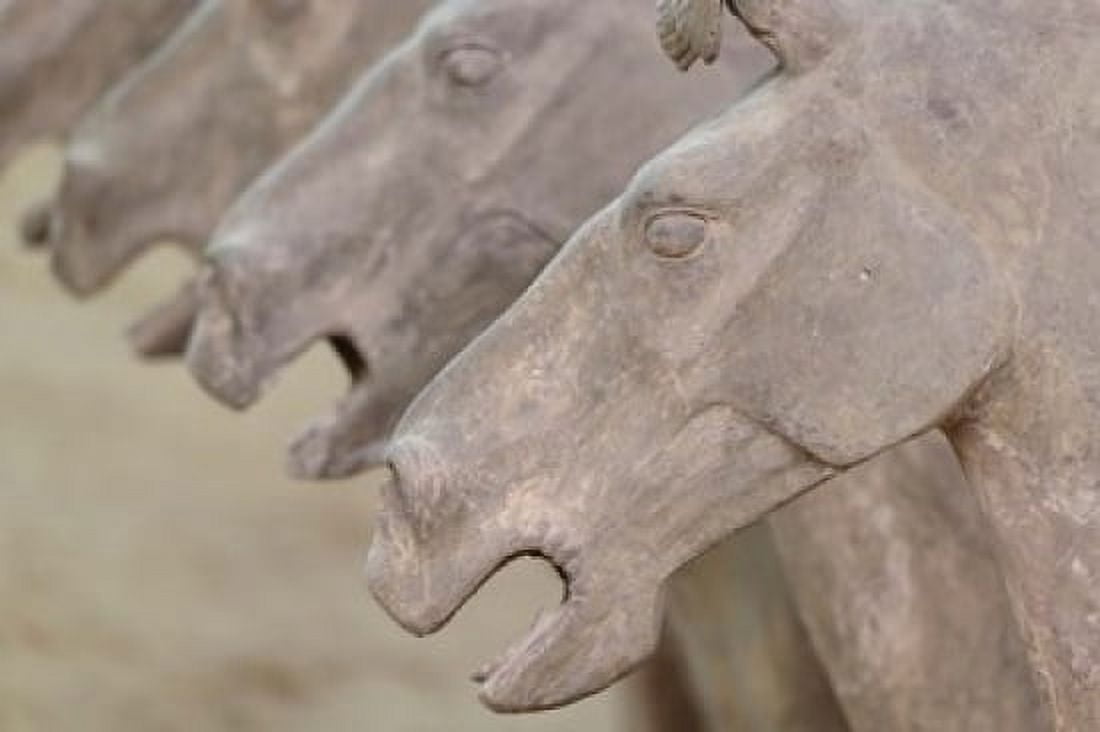 Qin Terra Cotta Warriors and Horses Xian Shaanxi China Canvas Art - Adam Jones DanitaDelimont (24 x 15)