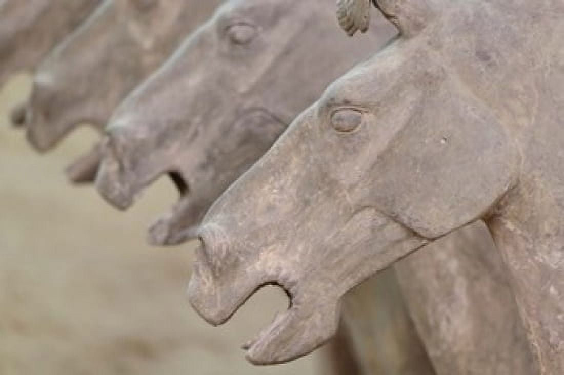 Qin Terra Cotta Warriors and Horses Xian Shaanxi China Canvas Art - Adam Jones DanitaDelimont (35 x 23)
