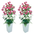 thumbnail image 1 of QinaQin 4FT Artificial Bougainvillea Tree with Lifelike Faux Flowers –UV Resistant Potted Topiary in White Tall Planter – 2-Pack, 120CM White Planter Set, 1 of 7