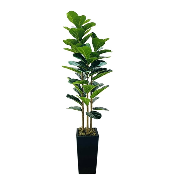 QinaQin 5FT Artificial Fiddle Leaf Fig Tree - Faux Indoor Plant with Natural Wood Trunk, Three-Trunk Design, Large Decorative Fake Tree in Black Shatterproof Pot
