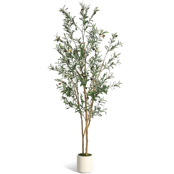 QinaQin 6FT Olive Trees Artificial Indoor, Faux Silk Plant with Natural Wood Trunk and Lifelike Fruits, white Imitation Ceramic Planter with Green Fake Moss
