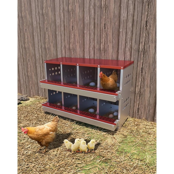 QinaQin 8 Compartment Metal Chicken Nesting Box with Roll Away Auto Egg Collection - Rustproof,Waterproof,Wall - Mountable Laying Boxes for Hens,Ventilated & with Perch,Red