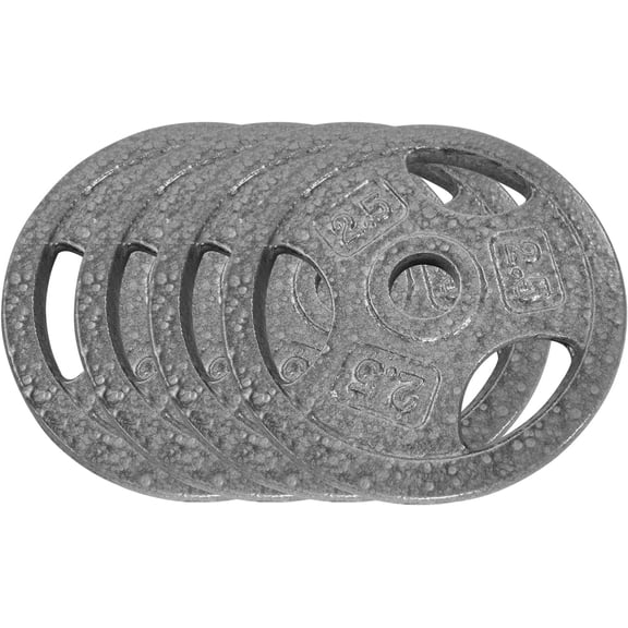 QinaQin Cast Iron Weight Plates with Triple Grip Handles,1 Inch Standard Weights Plates with Anti-Rust Coating for Home Gym Strength Training,Gray