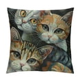 thumbnail image 1 of Qinduosi Abstract Cat Linen Throw Pillow Case,  Inch Set of , Gifts for Cat Lover, Funny Cat Pillow, Children Room Decoration, Cat Owners Gifts, Cat Theme Room Decor, Cushion Cover for Sofa Couch Bed, 1 of 5