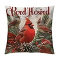 thumbnail image 1 of Qinduosi Cardinals Appear When Angels are Near Throw Pillow Cover Always with Us Pillow Covers Pillow Cover for Home Sofa Bedroom Livingroom  White, 1 of 5