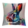 thumbnail image 1 of Qinduosi Cute Animal Rabbit Bunny Back PillowcaseThrow Pillow Covers DecorCushion Case (ps Rabbit Back,, 1 of 5