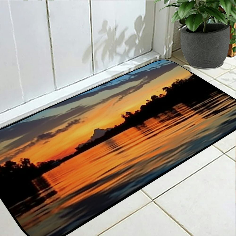 Qinduosi Decorative Door Mat, Door Mat with Non-Slip Rubber Backing, Easy Cleaning, Traps Dirt, Rug for Entry, Patio, Garage 19.68*47.24 in