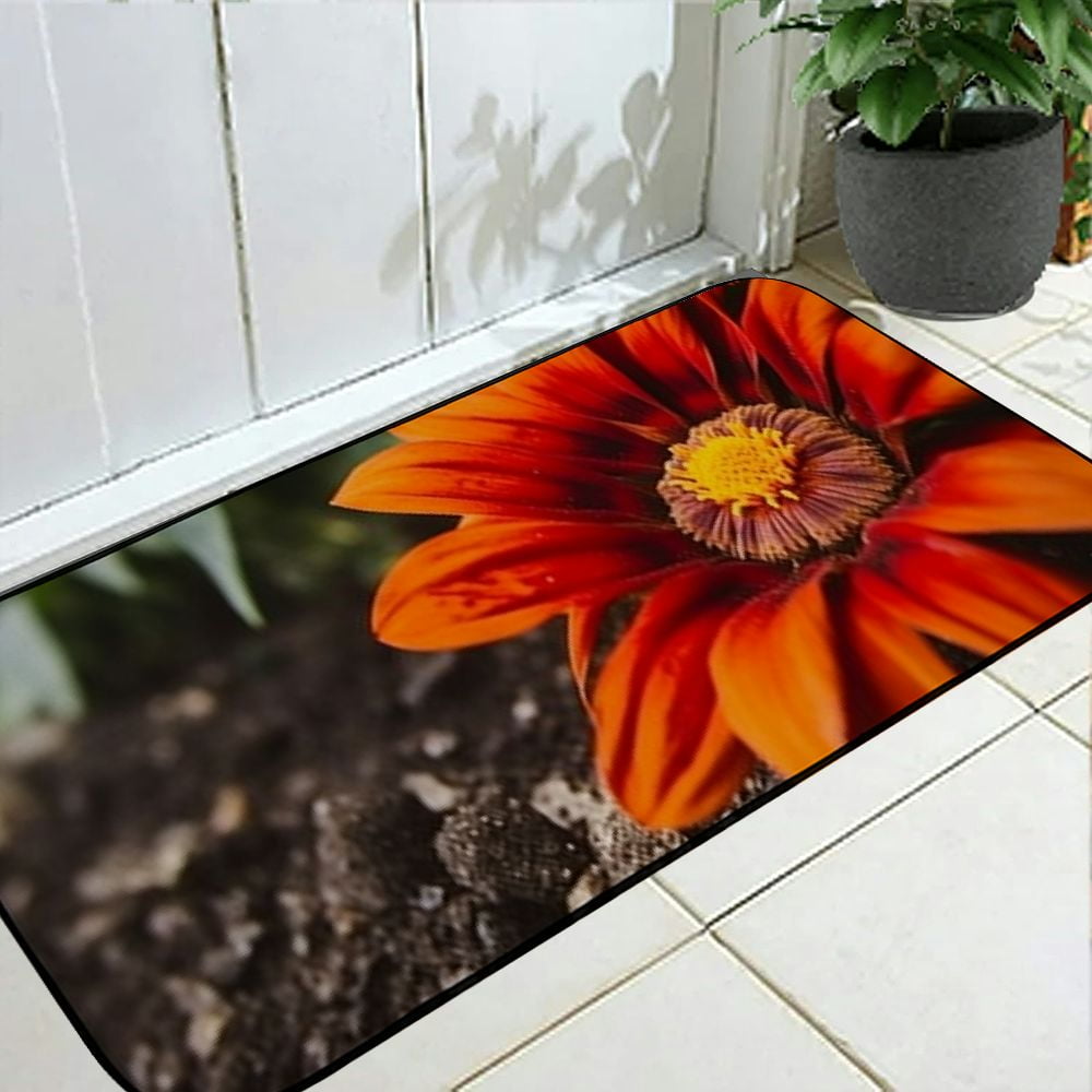 Qinduosi Decorative Door Mat, Door Mat with Non-Slip Rubber Backing, Easy Cleaning, Traps Dirt, for Entry, Patio, Garage 19.68*47.24 in
