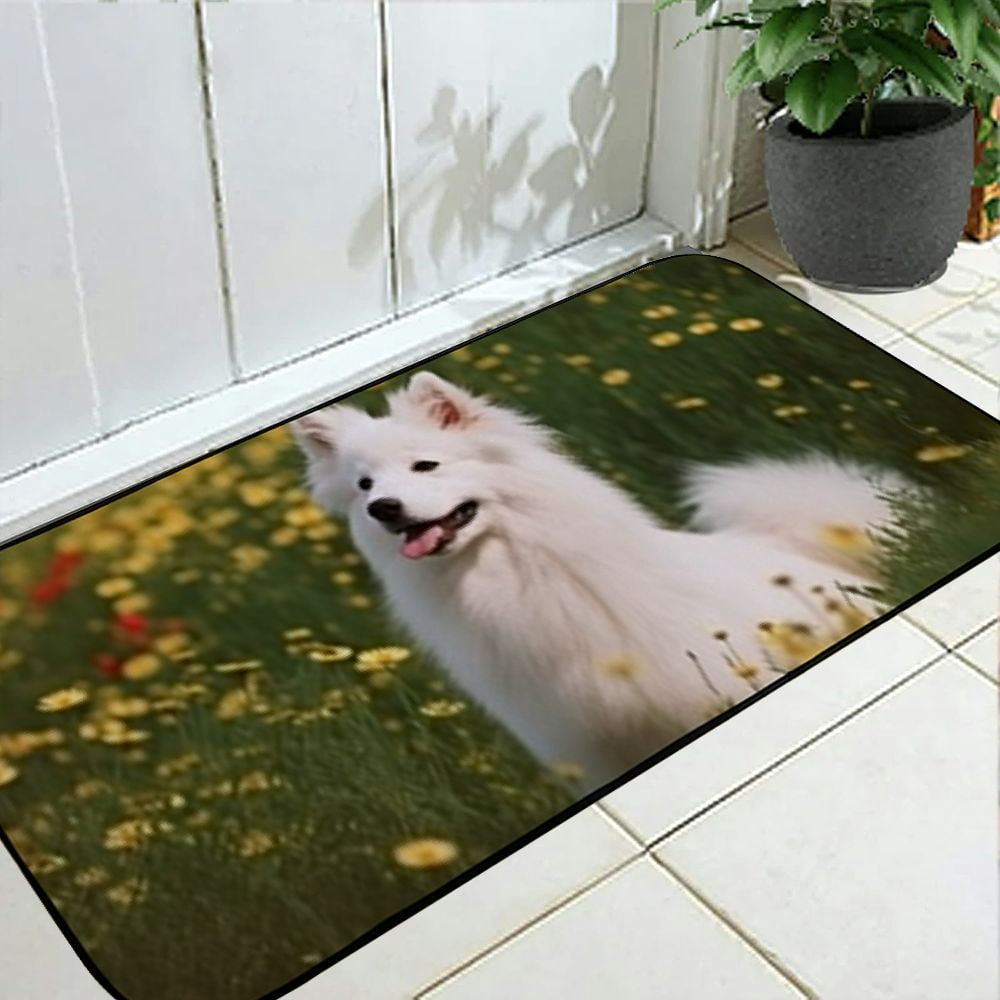 Qinduosi Decorative Door Mat, Door Mat with Non-Slip Rubber Backing, Easy Cleaning, Traps Dirt, for Entry, Patio, Garage 19.68*47.24 in