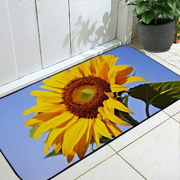 Qinduosi Decorative Door Mat, Door Mat with Non-Slip Rubber Backing, Easy Cleaning, Traps Dirt, for Entry, Patio, Garage 19.68*47.24 in