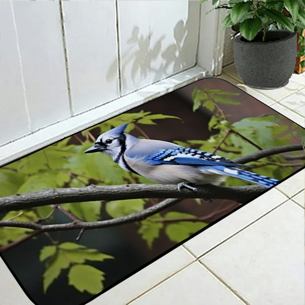 Qinduosi Decorative Door Mat, Door Mat with Non-Slip Rubber Backing, Easy Cleaning, Traps Dirt, for Entry, Patio, Garage 19.68*47.24 in