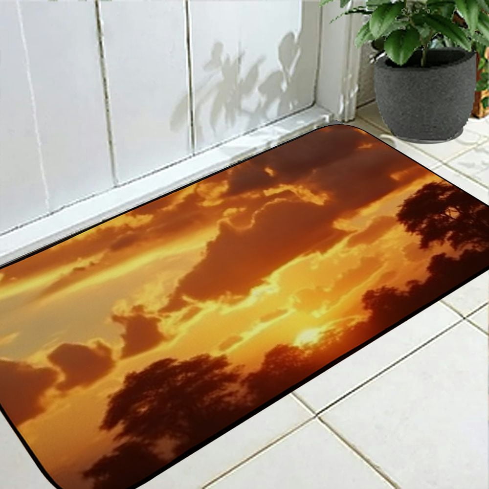 Qinduosi Decorative Door Mat, Door Mat with Non-Slip Rubber Backing, Easy Cleaning, Traps Dirt, for Entry, Patio, Garage 19.68*47.24 in