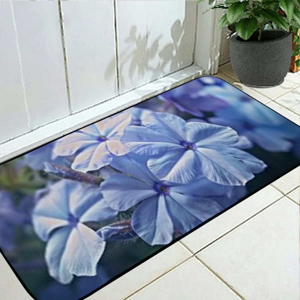 Qinduosi Decorative Door Mat, Door Mat with Non-Slip Rubber Backing, Cleaning, Traps Dirt, for Entry, Patio, Garage - Flowers Nature The Small Flowers 19.68*47.24 in