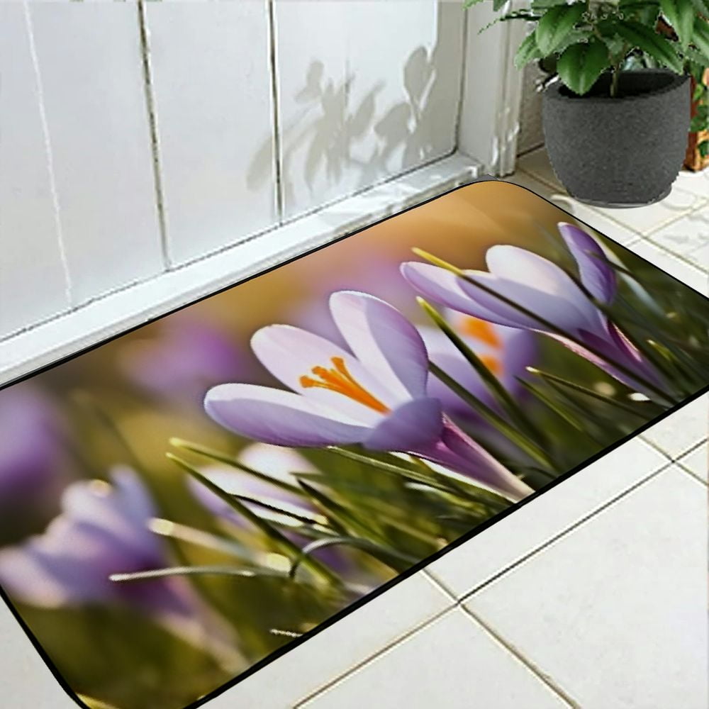 Qinduosi Decorative Door Mat, Door Mat with Non-Slip Rubber Backing, Cleaning, Traps Dirt, for Entry, Patio, Garage - Spring Schwertliliengewaechs Spring 19.68*47.24 in