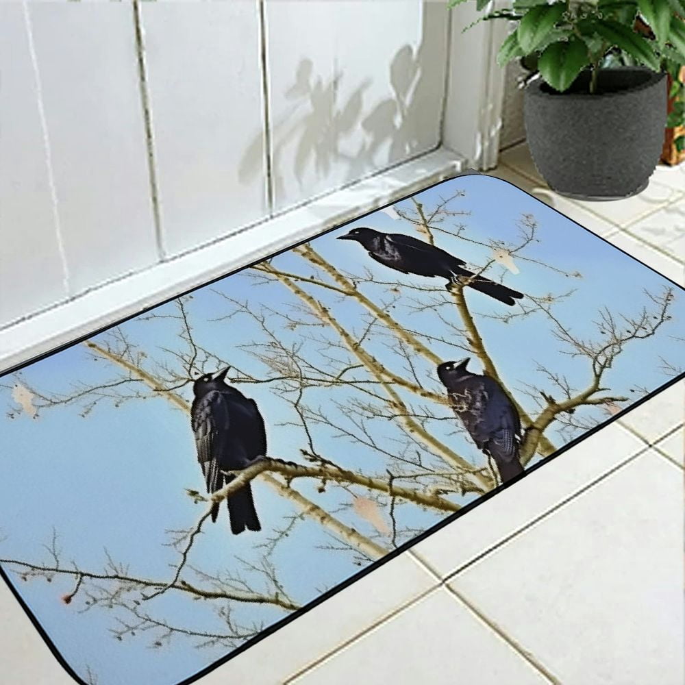 Qinduosi Decorative Door Mat, Door Mat with Non-Slip Rubber Backing, Easy Cleaning, Traps Dirt, for Entry, Patio, Garage - Crow Bird Animal Corvus Wildlife Sitting Plumage 19.68*47.24 in